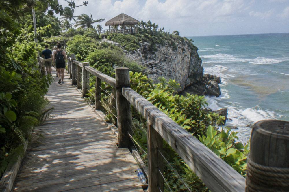 A wooden walkway leading through dense tropical forest toward a cliff face