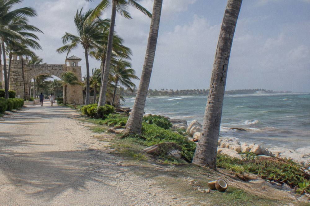 A palm-lined access road leading toward a stone gateway in bright Caribbean daylight