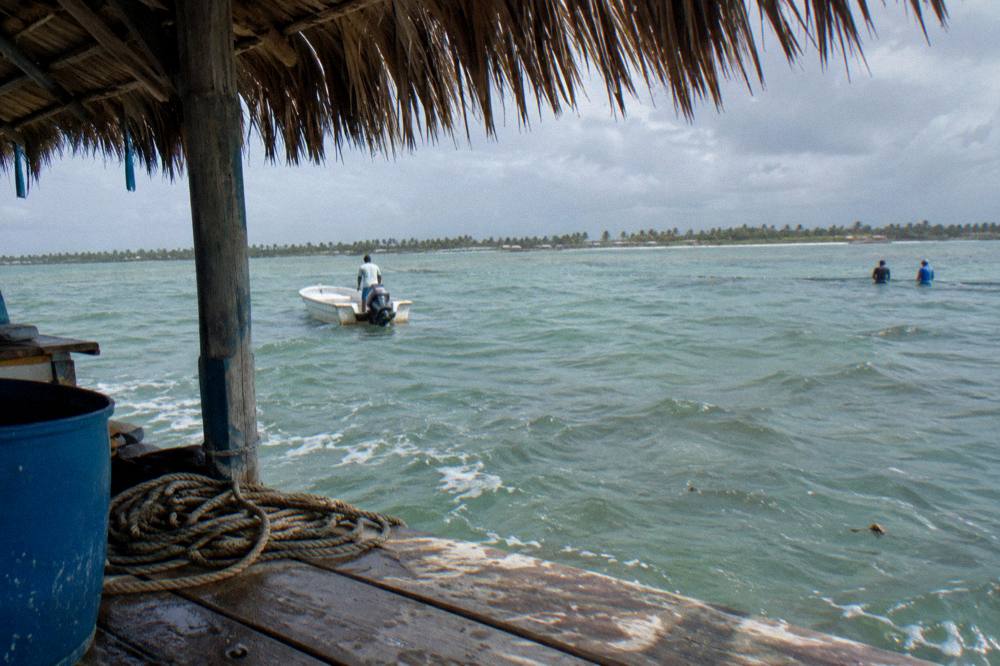 Shaded dock area with calm green-blue water beyond