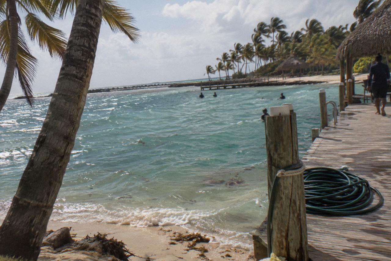 Turquoise lagoon water with a wooden dock and palm trees along the shore