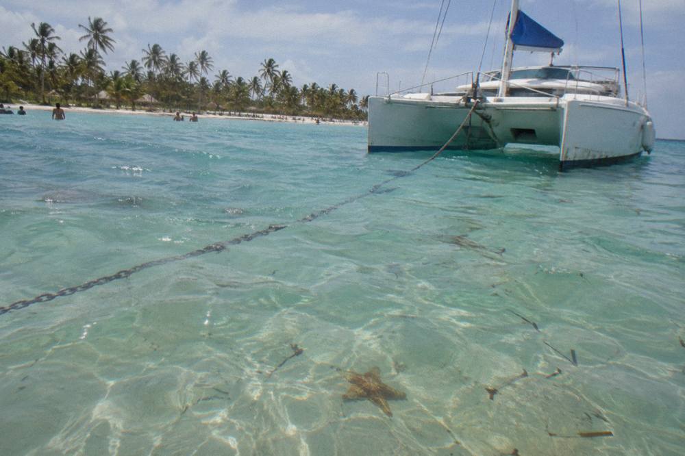 A white catamaran anchored in shallow turquoise water beside a sandbar dotted with palm trees