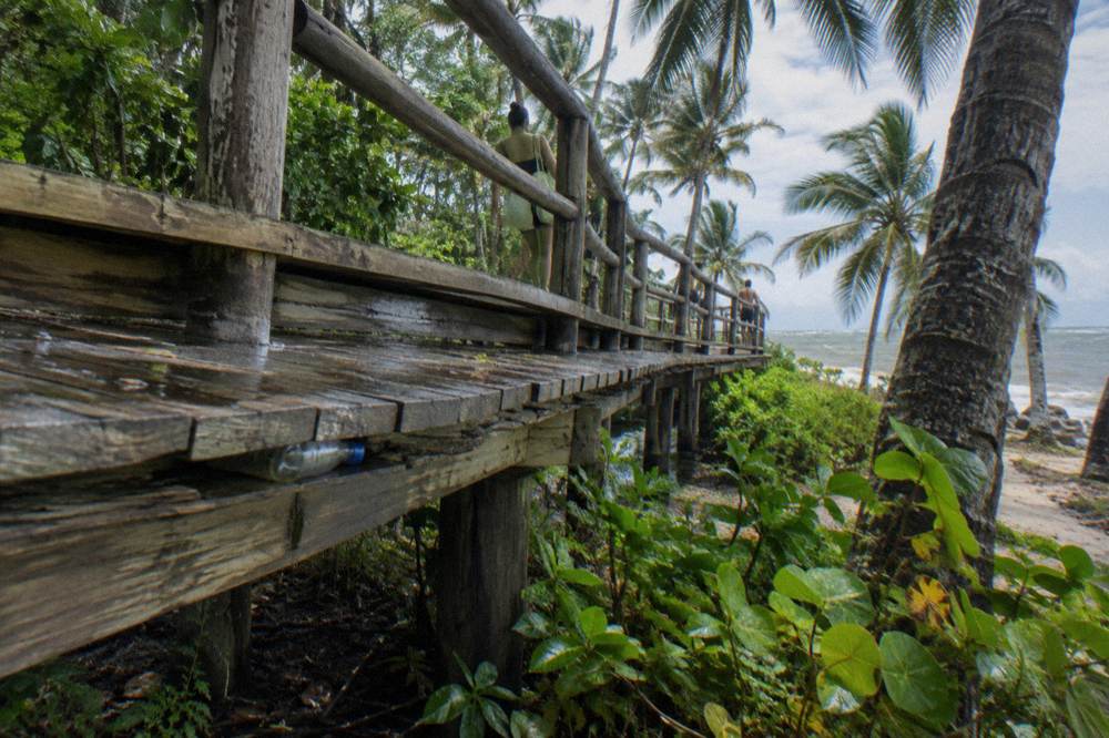 A family walking a raised wooden path through dense tropical vegetation