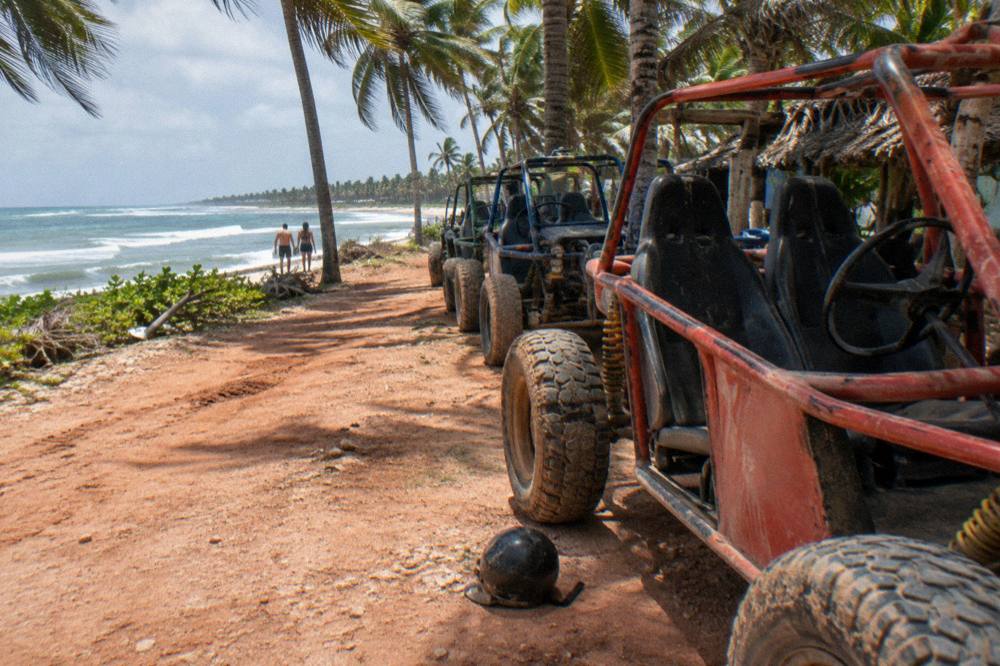 A row of tandem off-road buggies parked on a dirt track beside palm trees