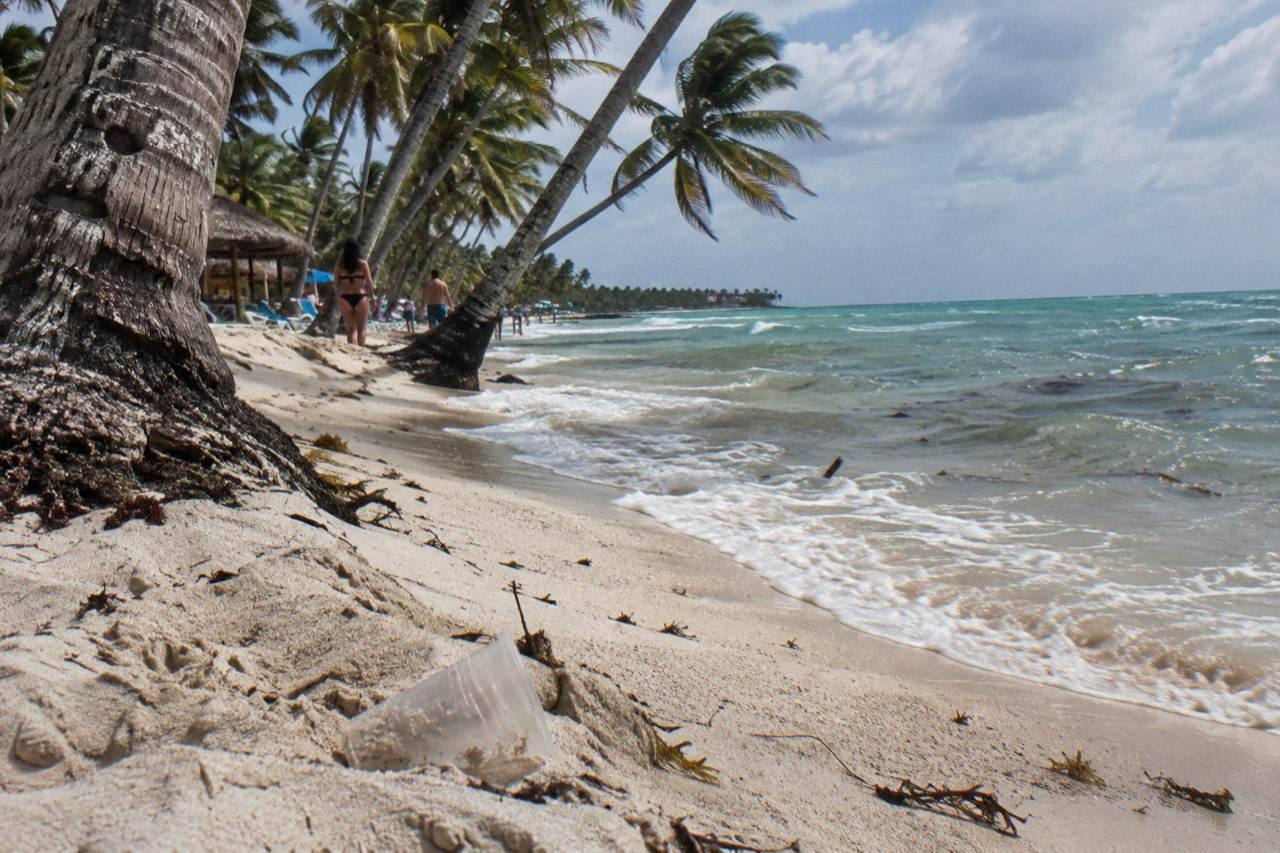 Palm trees leaning over a wide Caribbean beach with turquoise water and white sand