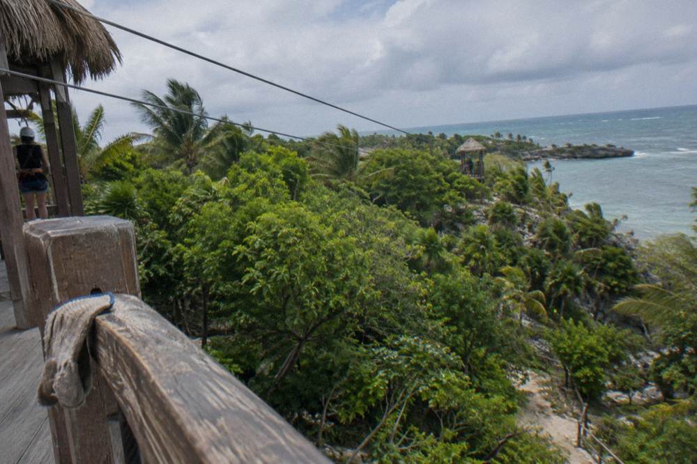 Zipline cables crossing a green palm forest inland from the coast