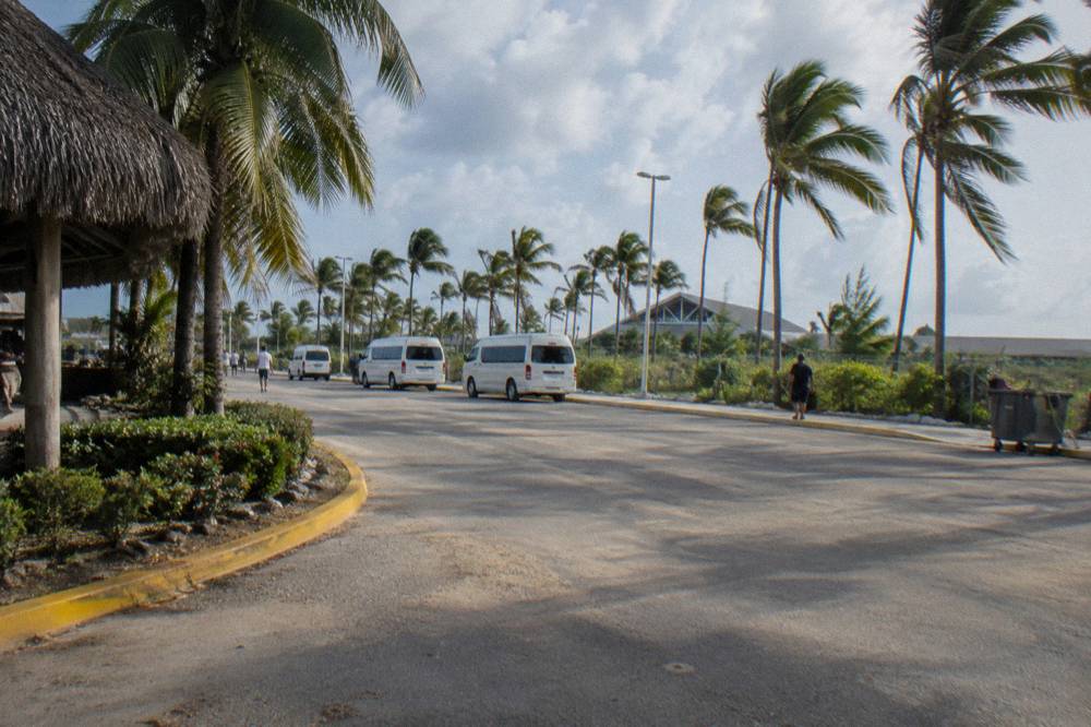 Palm-lined resort access road under a clear sky near the coast
