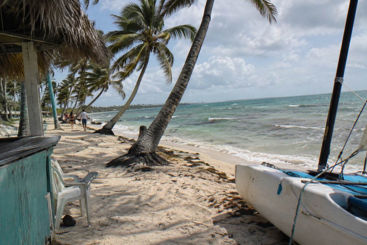 Palm-lined beachfront along the Punta Cana coast with calm turquoise water